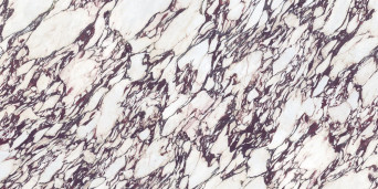 Calacatta Viola INFINITY