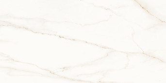 NATURALI / Marble Gold