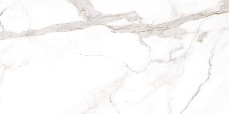 NATURALI / Calacatta Oro Venato Bookmatch